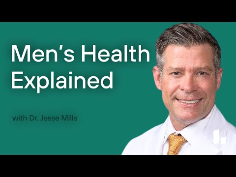 Bridge to A Whole New Level episode 287