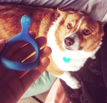 How a cockring changed my life